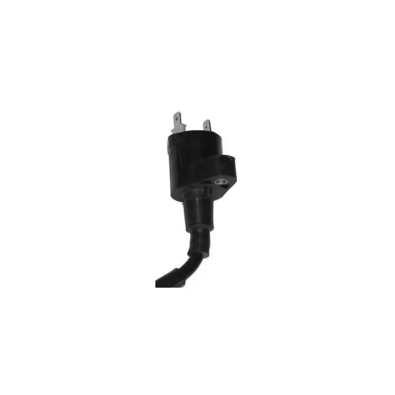 Bobina at esterna scooter 50/125 honda - kymco - p Vendita Finale