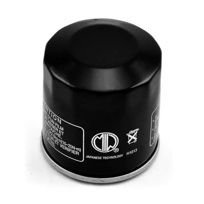 Occasione Filtro olio H1013