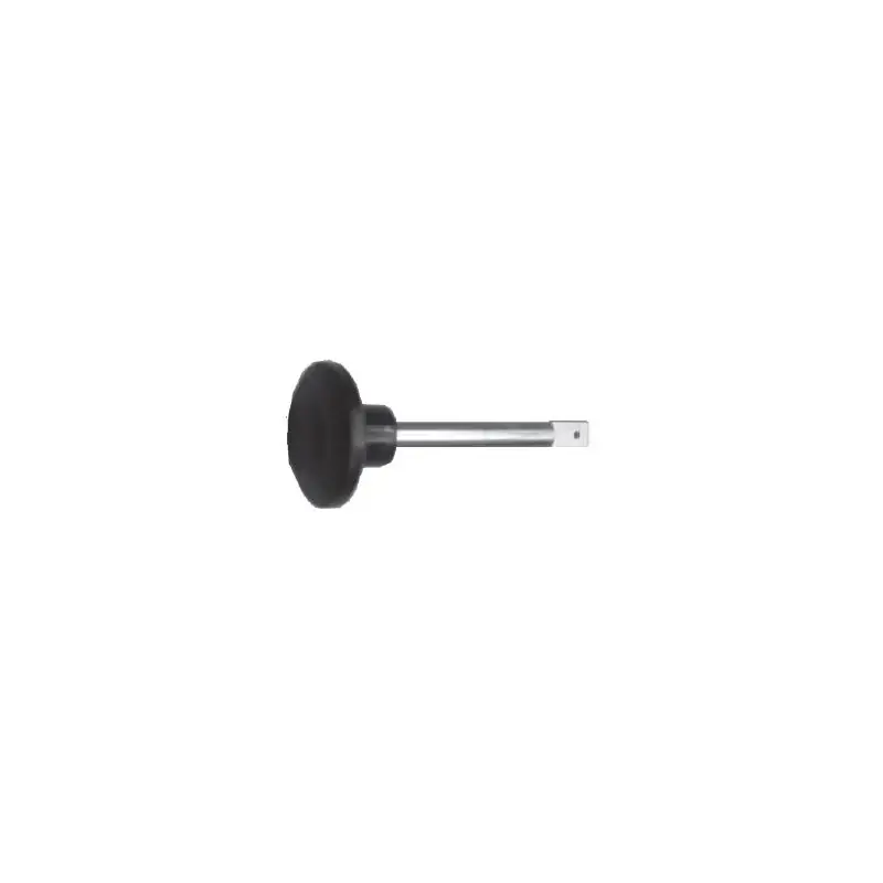 Asta ( 91304) Economico