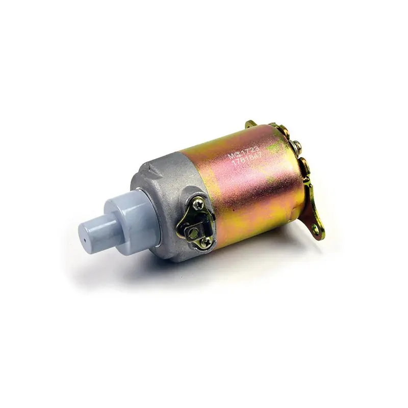 Motorino avviamento kymco 125/150 dink-people-sym Subito Disponibile