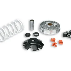 Consegna Rapida VARIATORE MULTIVAR 2000 PER SCOOTER PIAGGIO 50CC MALOSSI PIAGGIO NRG EXTREME 50 2T LC-