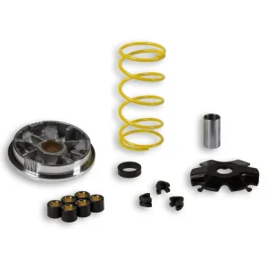 Nuova Collezione VARIATORE MULTIVAR PER SCOOTER MALOSSI SUZUKI ADDRESS AH 50 2T-