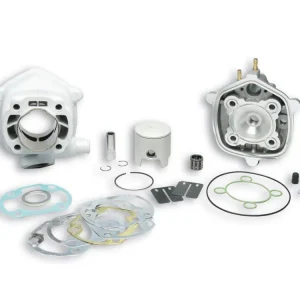 Di Tendenza GRUPPO TERMICO 47,6 IN ALLUMINIO CON SPINOTTO 12 MALOSSI APRILIA RALLY 50 2T LC (MINARELLI)-