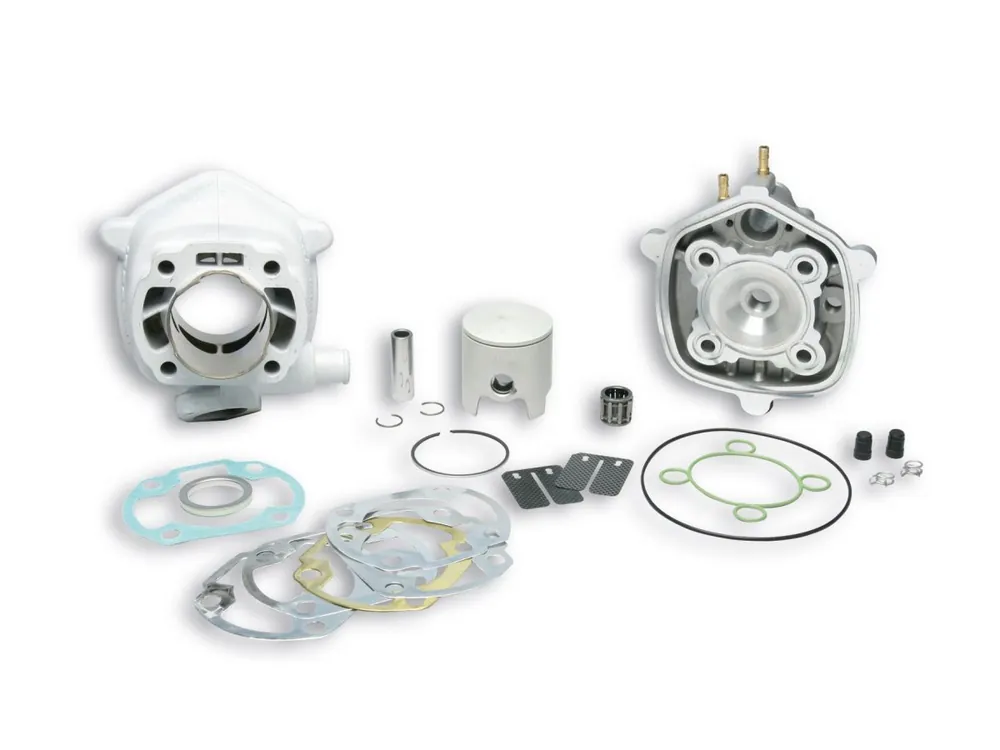 Di Tendenza GRUPPO TERMICO 47,6 IN ALLUMINIO CON SPINOTTO 12 MALOSSI APRILIA RALLY 50 2T LC (MINARELLI)-