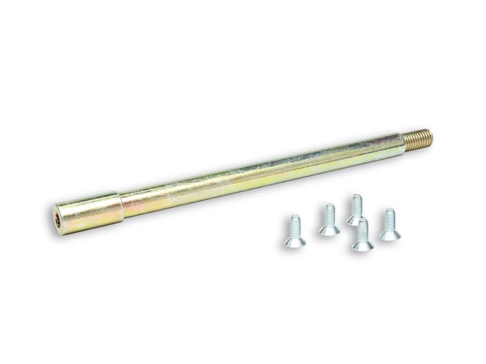 COMPLESSIVO PERNO RUOTA PER FORCELLA F32S MALOSSI GILERA RUNNER VX 125 4T LC -2005- Consegna Rapida