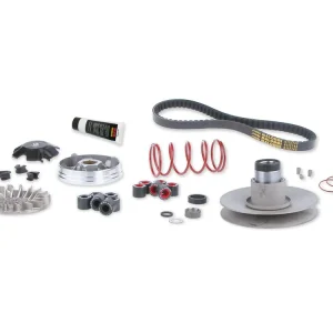 GRUPPO TRASMISSIONE COMPLETO OVER RANGE PER MOTORI YAMAHA-MINARELLI MALOSSI YAMAHA SPY 50 2T- Compra Online