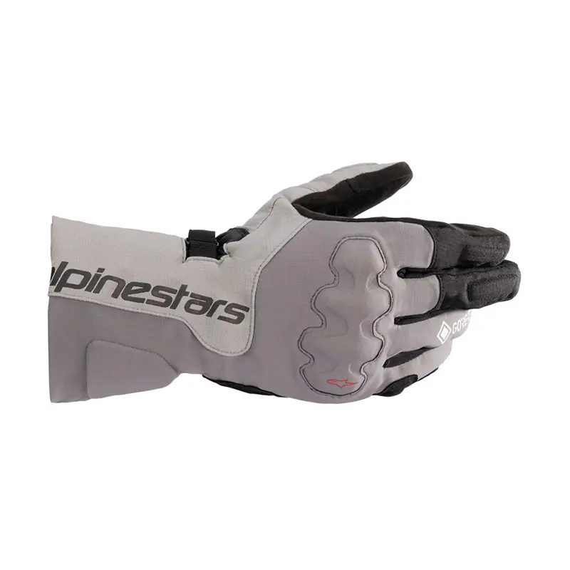 Non Perdere Guanti Alpinestars Wr-X Gore-tex grigio-M
