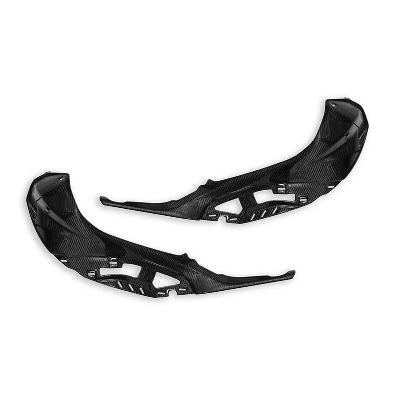 Affare Copriserbatoio Dbk Bmw S1000R carbonio lucido-