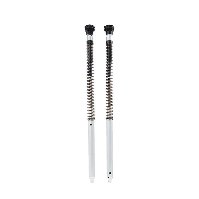Cartuccia Ohlins Nix Adv Ducati Desert-X- Direttamente Dal Produttore