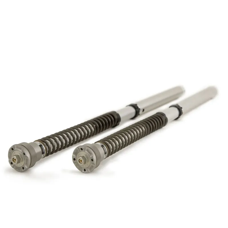 Cartuccia Ohlins Nix 30 Per Forcella Ohlins Ducati- Quantità Limitata