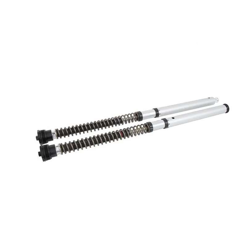 Ohlins Cartuccia Ducati Scrambler Nix 30 Street- Ordina Subito