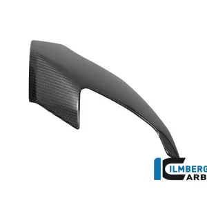 Acquista Ora PROTEZIONE PANNELLO ANTERIORE DESTRA CARBONIO ILMBERGER BMW M 1000 XR 2024-