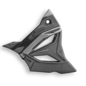 Offerta Limitata COVER PIGNONE CARBONIO LUCIDO DBK BMW M 1000 R / RR 2020-2023-