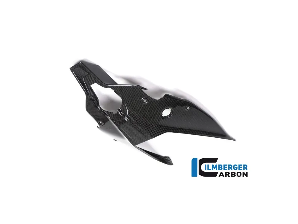 SOTTOCODA POSTERIORE LUCIDO CARBONIO ILMBERGER DUCATI PANIGALE V4 2018-2024- Miglior Prezzo