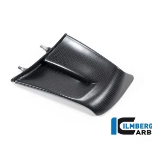 Compra Online ALA SINISTRA CARBONIO OPACO ILMBERGER DUCATI PANIGALE V4 / S / R 2022-2024-