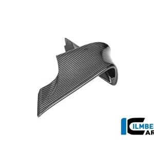 Spedizione Gratuita ALA SINISTRA CARBONIO LUCIDO ILMBERGER BMW M 1000 RR 2025-