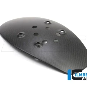 Reso Gratuito PARASCHIZZI OPACO CARBONIO ILMBERGER DUCATI DIAVEL 1260 2019-2022-