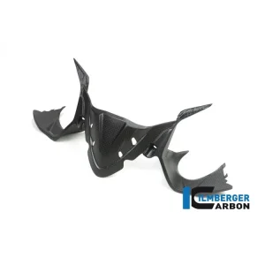 COVER STRUMENTAZIONE OPACA CARBONIO ILMBERGER DUCATI PANIGALE 1299 2015-2018- Offerta Speciale