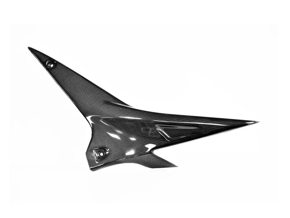 COPPIA FIANCHETTI RADIATORE CARBONIO LUCIDO LIGHTECH APRILIA RSV4 1100 FACTORY 2021-2025- Non Perdere