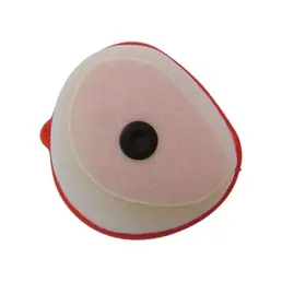 Saldi Filtro Aria KAWASAKI 403651850
