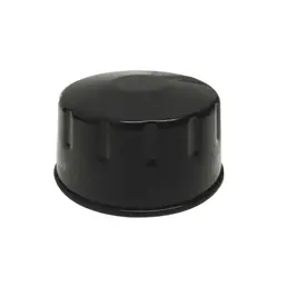 Filtro Olio 403550935 Pagamento Sicuro