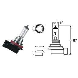 H8 Halogen Bulb - Clear Più Venduto