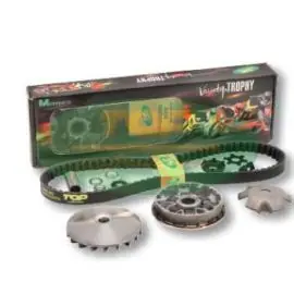 Promozione Tasselli di traino per Variotop TPR GP scooter Minarelli/Yamaha 50 cc - Top 9931350