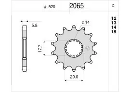 Pignone OgniBene Passo 520 Z 13 Denti - 36.2065.013 Prezzo Conveniente