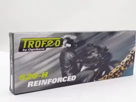 Reso Gratuito CATENA TROFEO 520 H S&B 120 MAGLIE - 201507120