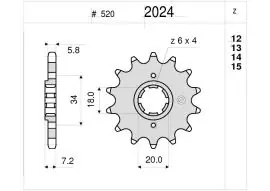 Ultimissimo Modello Pignone OgniBene Passo 520 Z 12 Denti - 36.2024.012