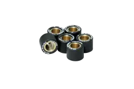 Ordina Subito Kit rulli variatore 20x17 16g Malossi 6611095.V0