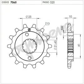 Pignone OgniBene Passo 520 Z 13 Denti - 36.7065.013 Professionale