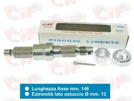 ASSE RUOTA POSTERIORE COMPLETO SCOOTER GILERA/PIAGGIO - CIF - 6500 Non Perdere