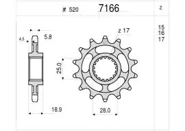 Direttamente Dal Produttore Pignone OgniBene Passo 520 Z 17 Denti - 36.7166.017