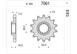 Pignone OgniBene Passo 525 Z 16 Denti - 36.7061.016 Compra Adesso