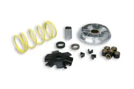 Offerta Speciale Malossi Multivar 2000 per scooter 50cc Derbi - Variatore Malossi 5111151