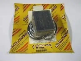 558678 - Malossi centralina elettronica Pagamento Sicuro