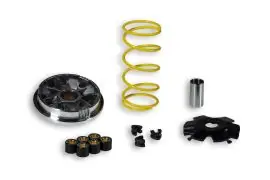 Offerta Limitata Malossi Multivar per scooter 100cc 2T MALAGUTI - Malossi Multivar 5111327
