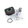 Gruppo termico ø 43 spinotto 12 Ciao-Si serie Evolution - DR KT00066 Acquista Ora