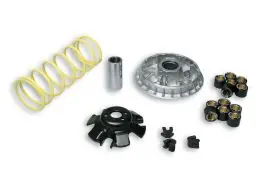 Bestseller VARIATORE MULTIVAR 2000 per Maxiscooter - Atv - Quad - MALOSSI 5113892