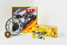 Kit catena DID Kawasaki ZX-6 R 03-04 - Kit catena Did 375407000 Sconto