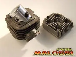 Gruppo termico ø 47 in ghisa con spinotto ø 10 - MALOSSI 317237 Prezzo Basso