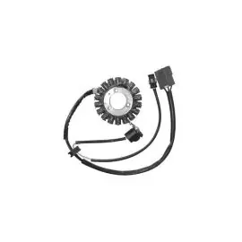 STATORE MALAGUTI CENTRO 125/160 - 3519022 Prezzo Basso