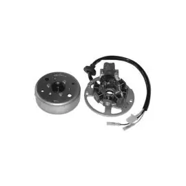 163585 - Volano Completo per Motore Minarelli 50cc impYamaha 7 poli Offerta Del Giorno