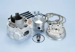 Gruppo termico pistone cilindro FANTIC 50cc - Polini 1122000 Di Tendenza