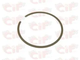 ANELLO ELASTICO X CHIUSURA DISCO FRIZ. (ns.art.5581-5584/C) - CIF - C00122 Super Prezzo