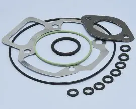 Non Perdere SERIE GUARNIZIONI PIAGGIO QUARTZ KIT EVOLUTION D.47,6 - 209.0391