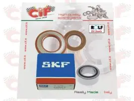 Spedito Oggi KIT REVISIONE ALBERO MOTORE CON PARAOLI ROLF APE TM P703-P602 - APE CAR - CIF - 5222-KTV