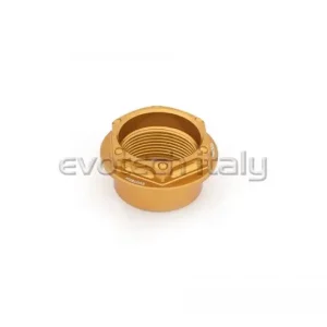 Compra Online EVOTECH DADO RUOTA ANTERIORE DUCATI 848 PANIGALE MULTISTRADA SCRAMBLER ORO