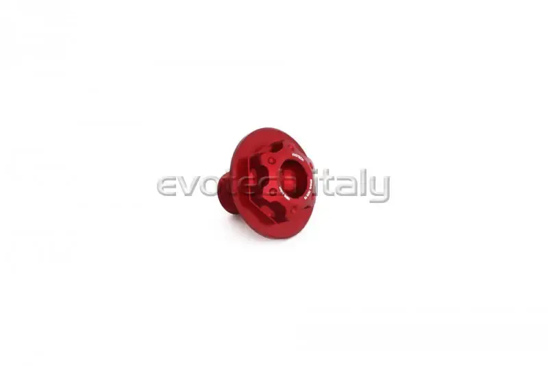 EVOTECH DADO PERNO FORCELLONE DUCATI MONSTER 1200 / 821 SCRAMBLER ROSSO Offerta Del Giorno